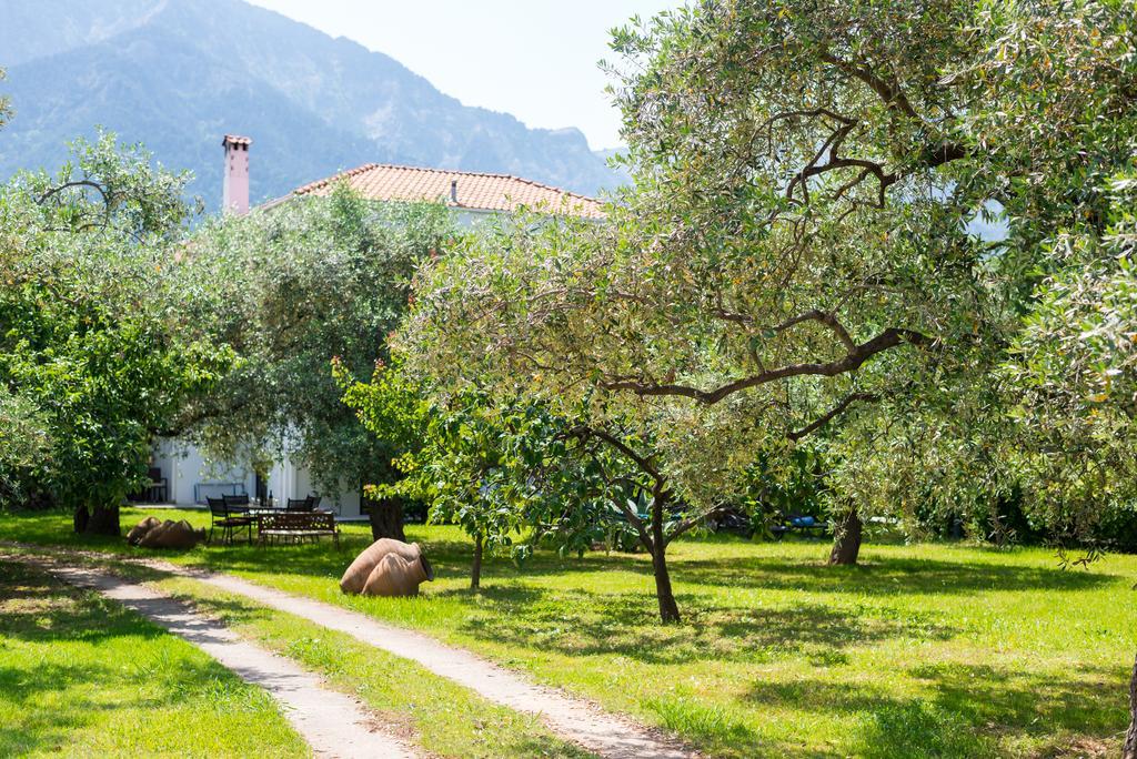 Anastasia Apartments Skala Potamia  Eksteriør billede