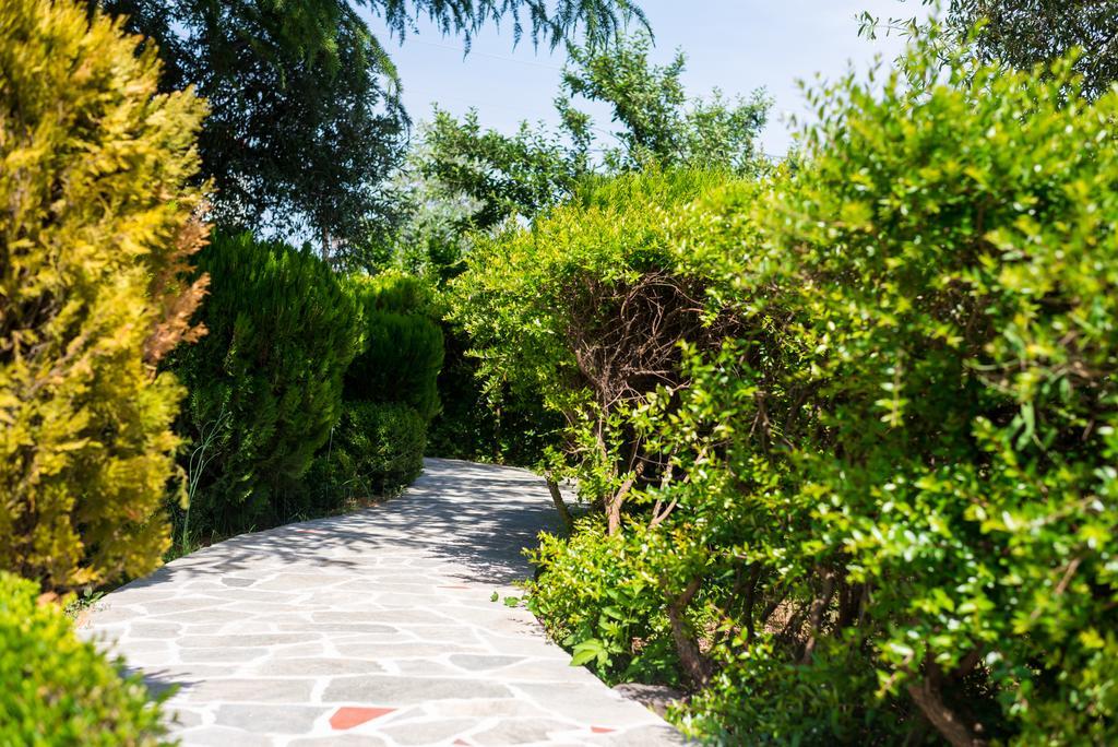 Anastasia Apartments Skala Potamia  Eksteriør billede
